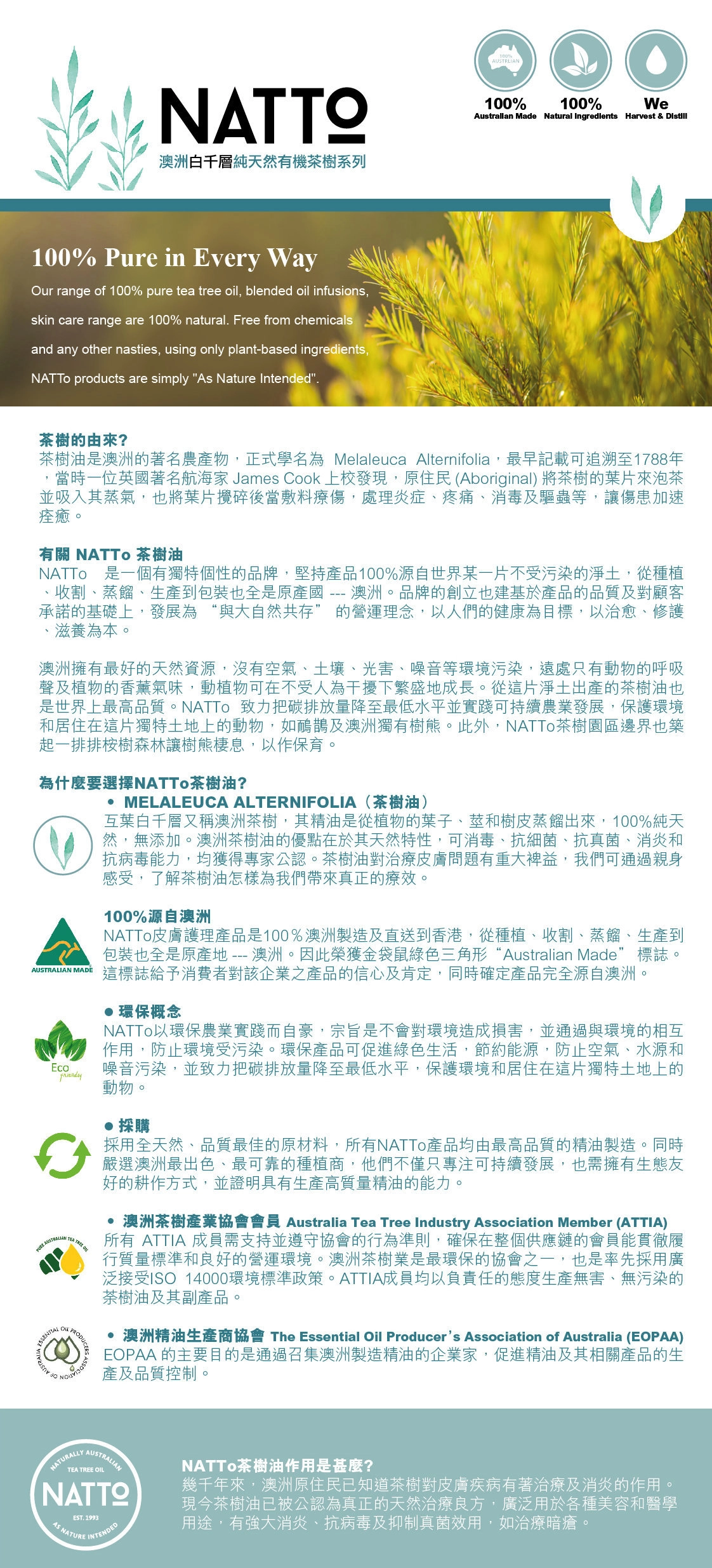 澳洲純天然有機茶樹油:圖片 2